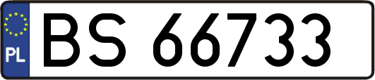 BS66733