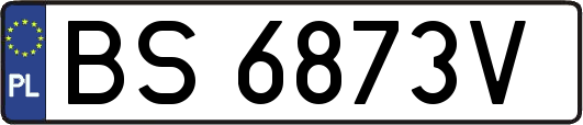BS6873V