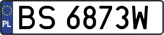 BS6873W