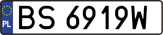 BS6919W