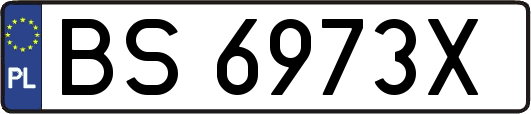 BS6973X