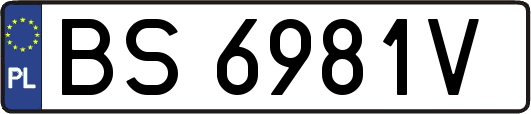 BS6981V