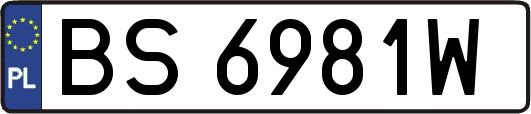 BS6981W