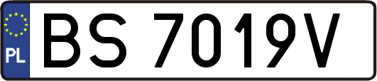 BS7019V