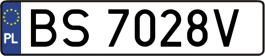 BS7028V