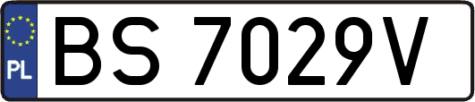 BS7029V