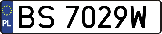 BS7029W