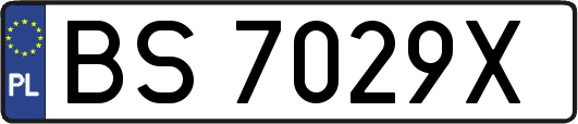 BS7029X