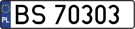 BS70303