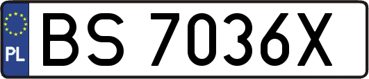 BS7036X