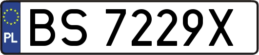 BS7229X
