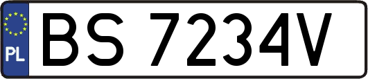 BS7234V