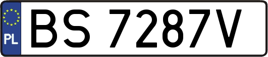 BS7287V