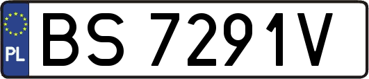 BS7291V