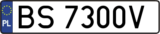 BS7300V