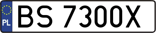 BS7300X