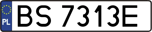 BS7313E