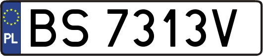 BS7313V
