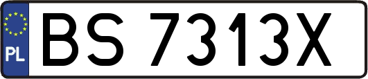 BS7313X