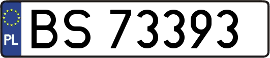 BS73393