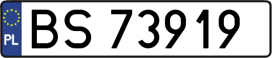 BS73919