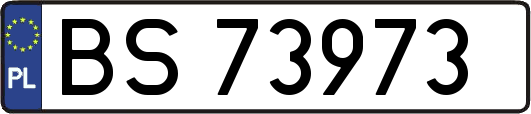 BS73973