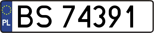 BS74391