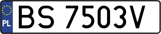 BS7503V