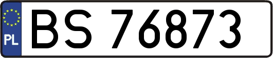 BS76873