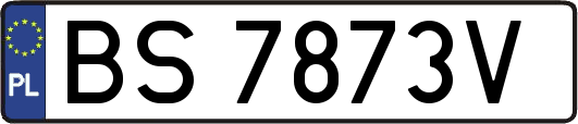 BS7873V