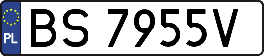 BS7955V