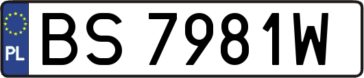 BS7981W