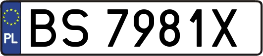 BS7981X