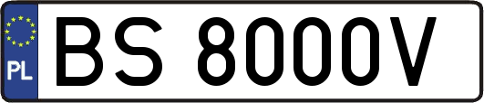 BS8000V