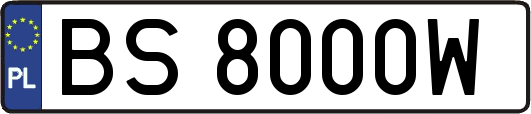 BS8000W