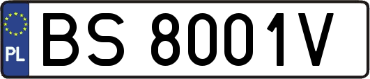 BS8001V