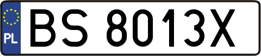 BS8013X