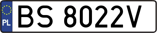BS8022V