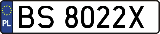BS8022X