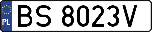 BS8023V