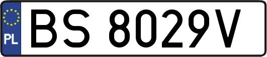 BS8029V