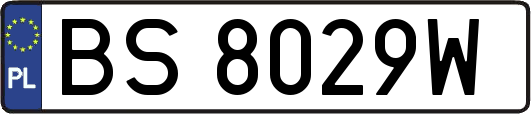 BS8029W