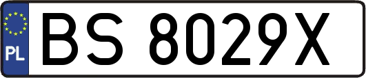 BS8029X