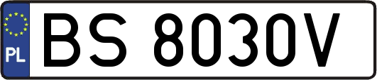 BS8030V