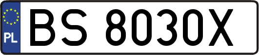BS8030X