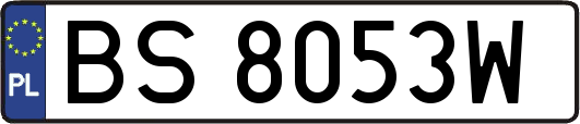 BS8053W