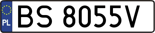 BS8055V