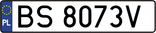 BS8073V