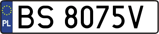 BS8075V