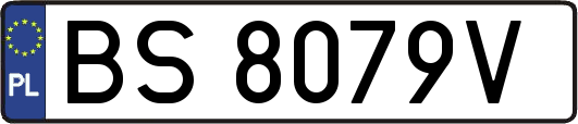 BS8079V
